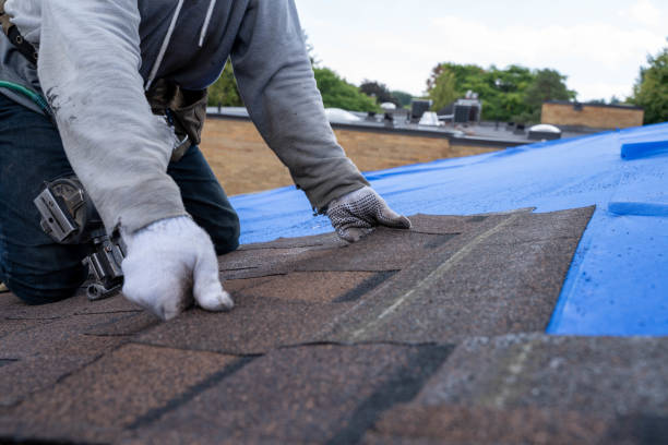 Professional Roofing Contractor in East Alton, IL